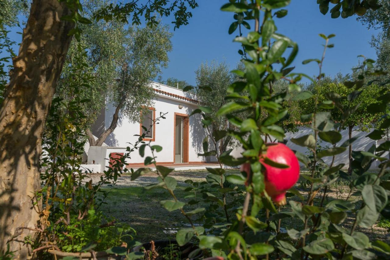 Case Vacanze Uliveto Маттината Экстерьер фото